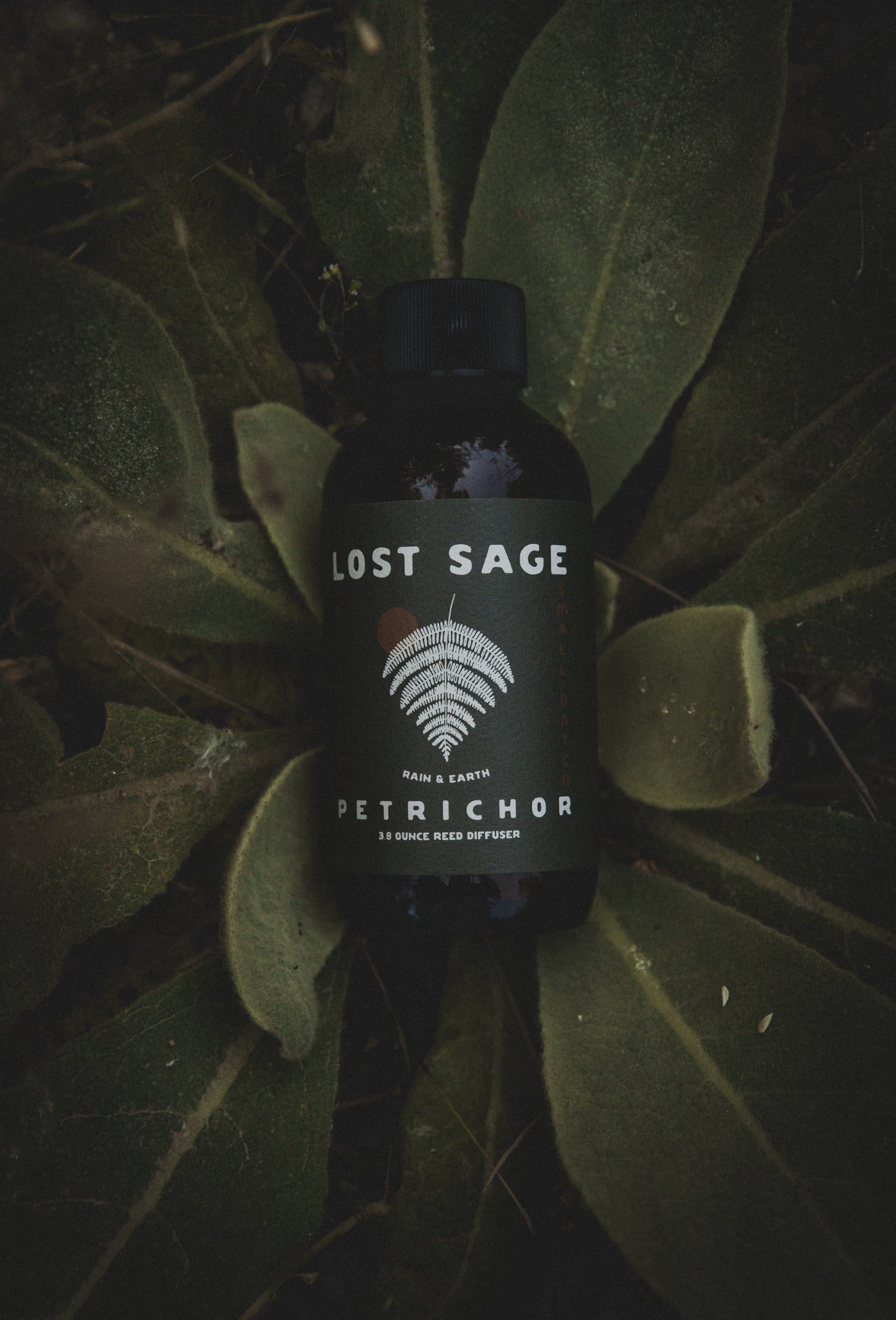 Petrichor Reed Diffuser