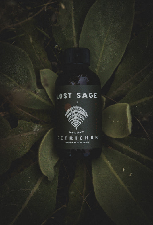 Petrichor Reed Diffuser
