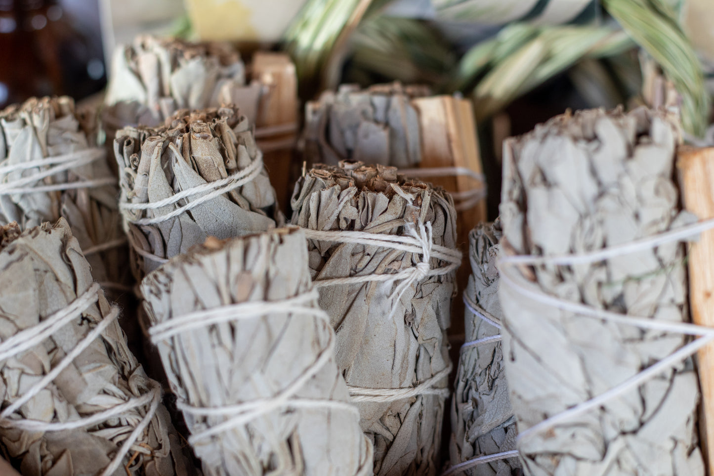 White Sage Smudge Stick